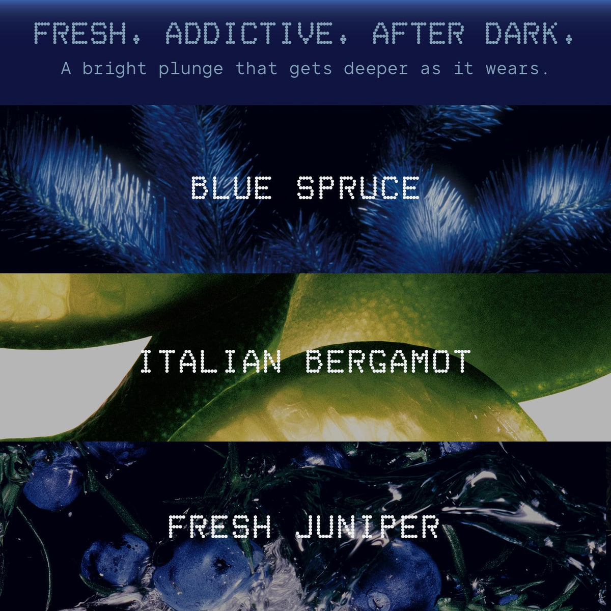 Hawthorne Night Swim Cologne for Men Fresh Addictive Parfum - Hawthorne Official Imagery - 5