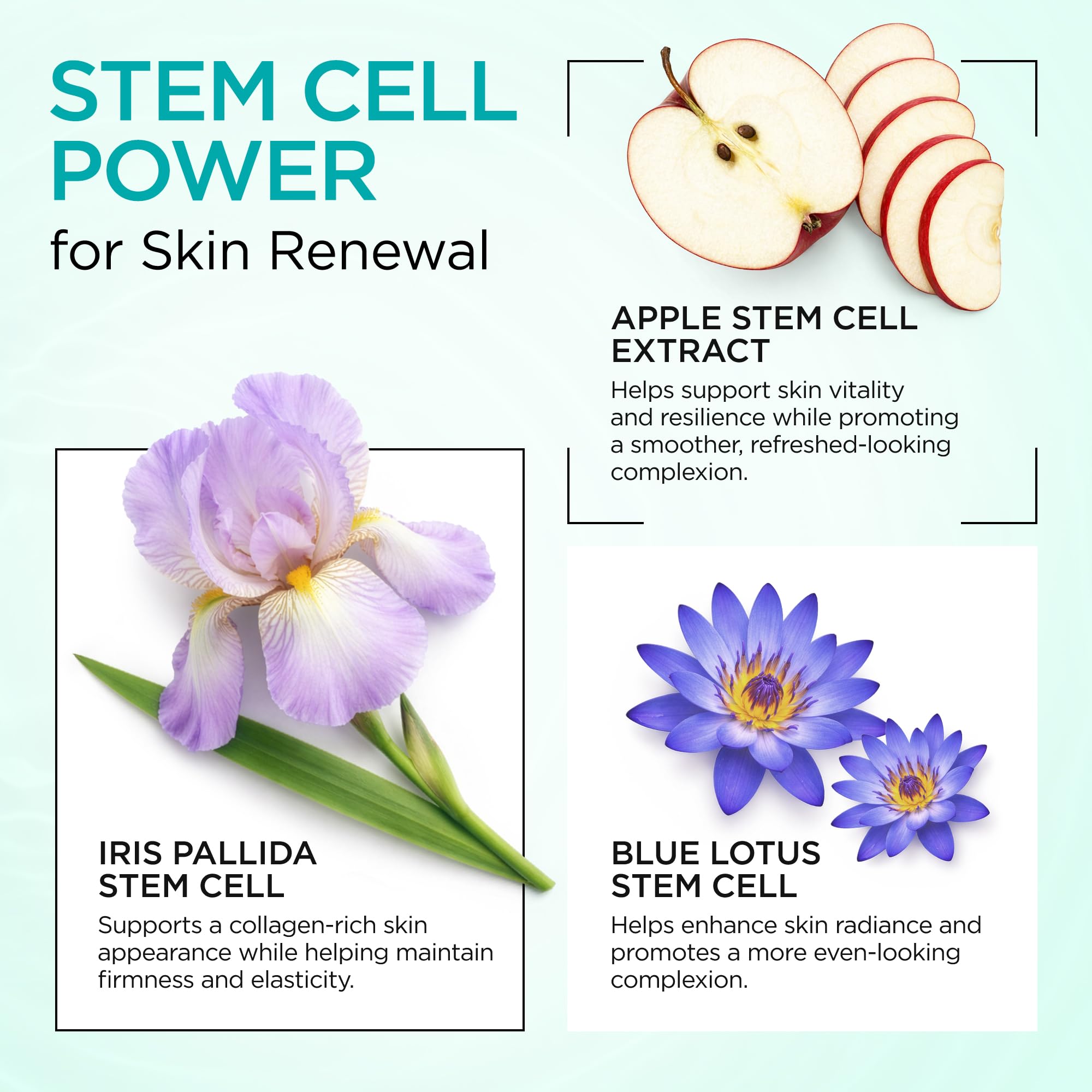 Collagen Stem Cell Cream with Retinol, Hyaluronic Acid 1.7 Oz - Ember Cloud