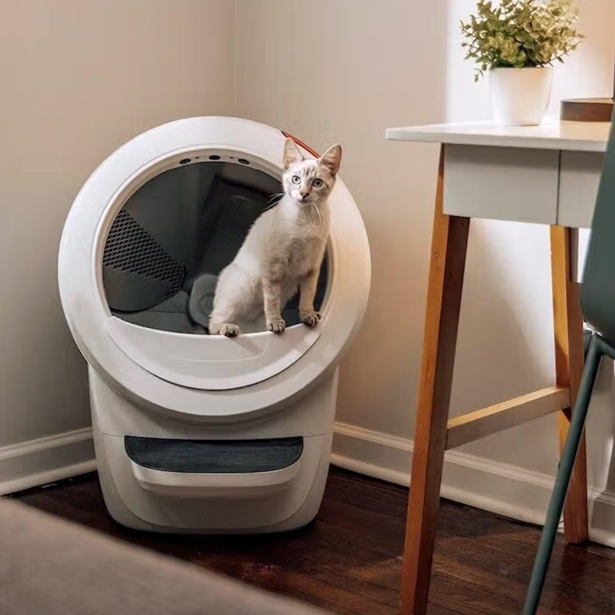 Litter-Robot 4 with Step & Fence by Whisker, Black - Automatic - Whisker Official Product View 6