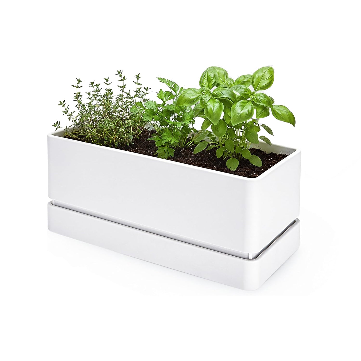D'vine Dev 12" x 6.5" Window Box Planter, Rectangular Plastic Herb