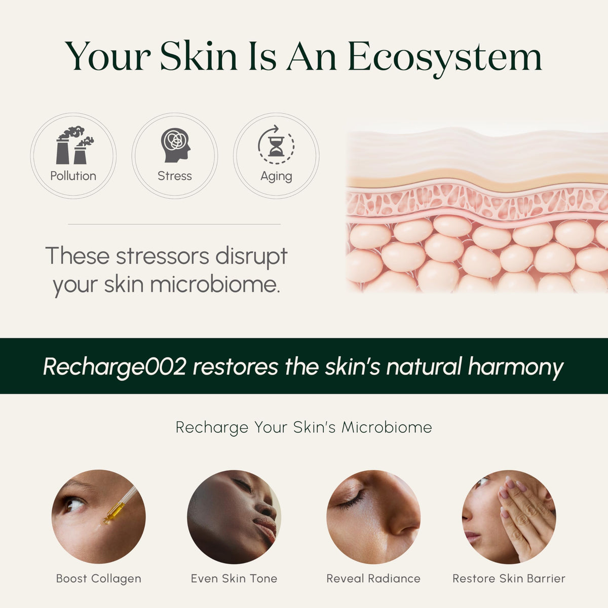 symbiome Recharge002 Revitalizing Face Oil Energizing - symbiome Official Imagery - 6