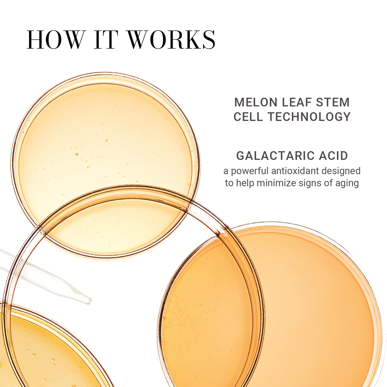 Meaningful Beauty Skin Softening Gentle Cleanser Non Foaming - Meaningful Beauty Official Product Imagery - 5