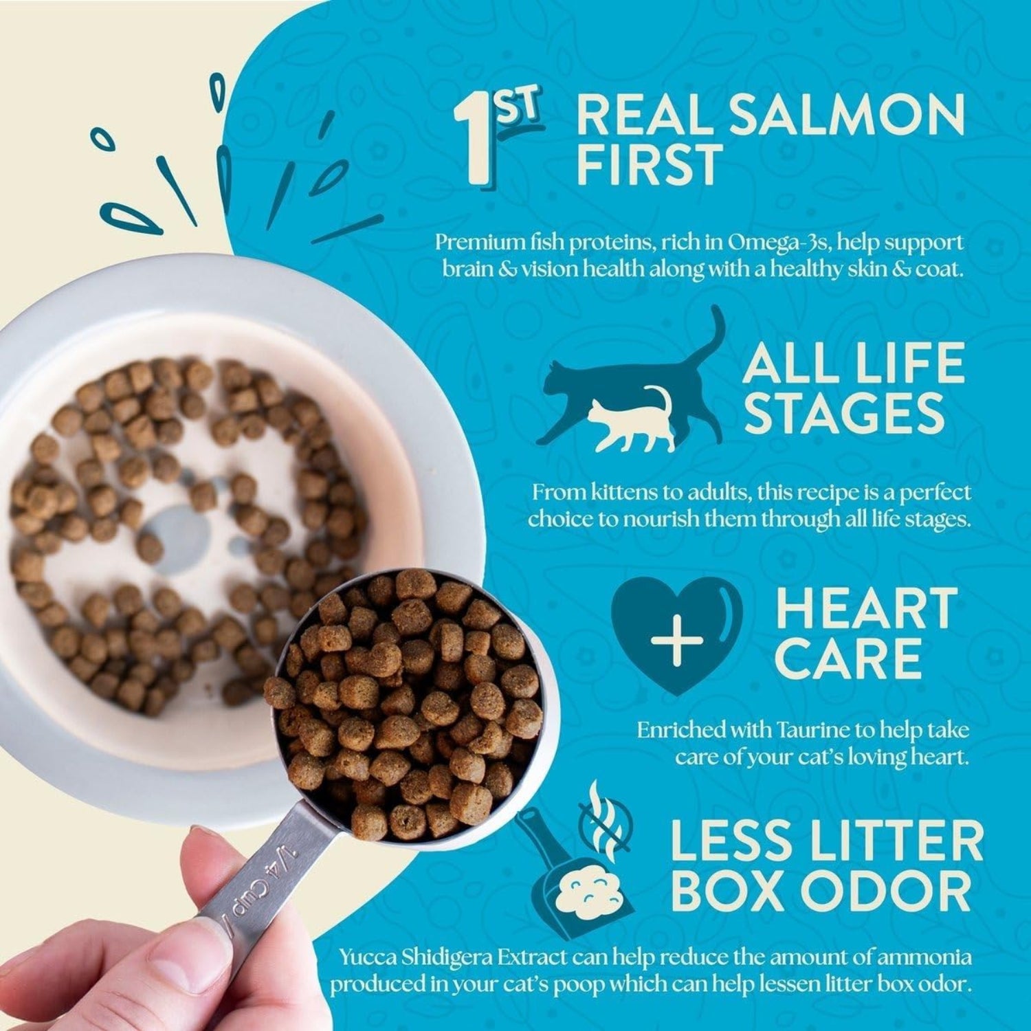 Earthborn Holistic Wild Sea Catch grain-free dry cat food bag with seafood flavor, 12.5 lb. size, for healthy feline nutrition.