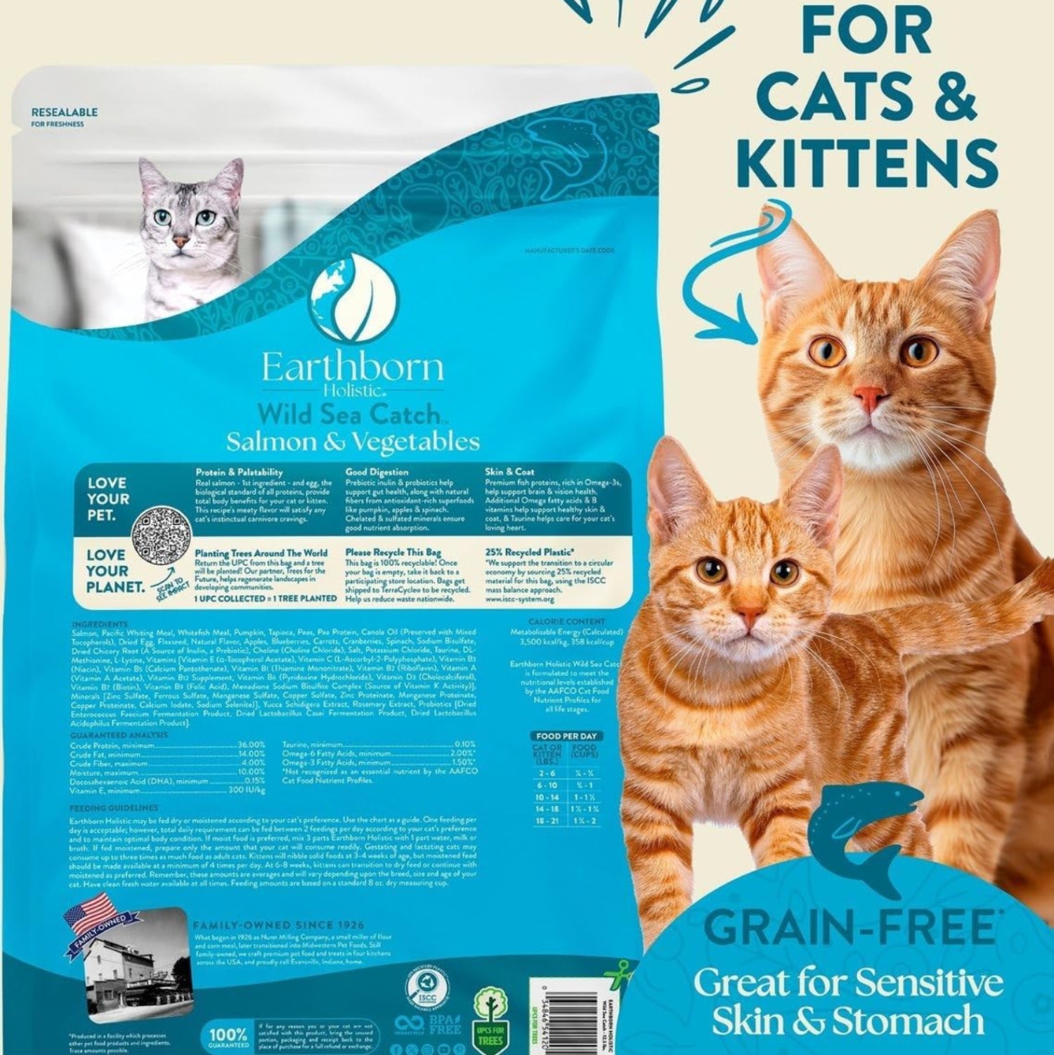 Earthborn Holistic Wild Sea Catch grain-free dry cat food bag showing 12.5 lb. weight and vibrant packaging design.
