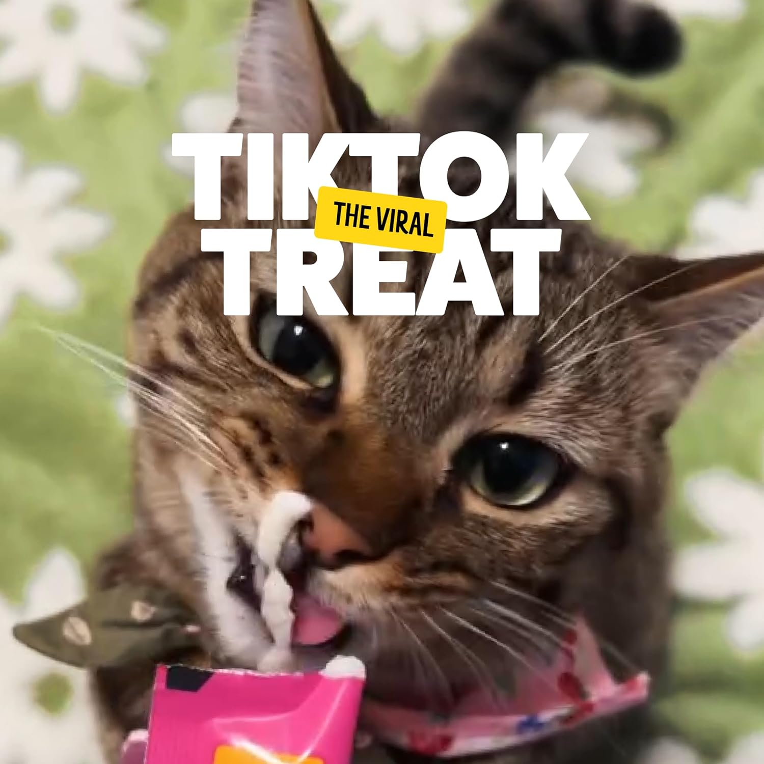 Bonkers Licky Tubes wet chicken flavor cat treats with real meat, shown in a clear tube package for cats' tasty licking enjoyment.