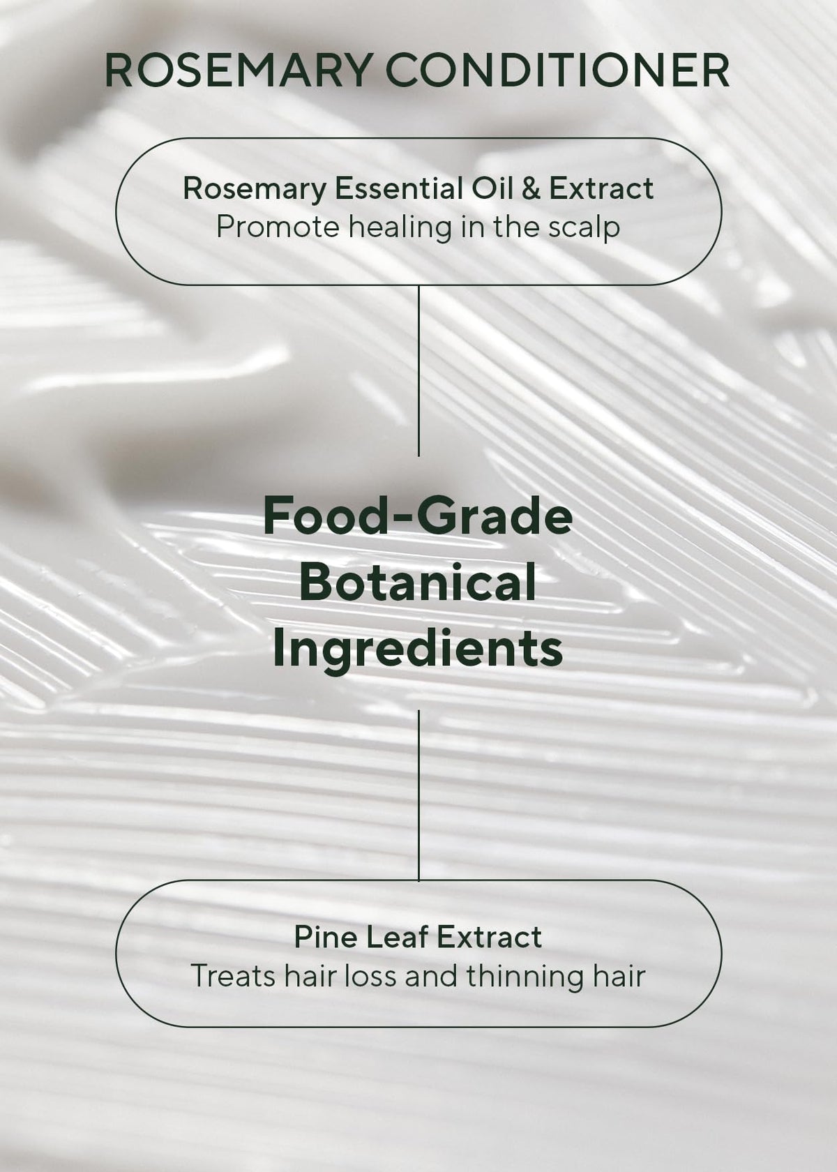 AROMATICA Rosemary Scalp Scaling Shampoo and Conditioner Set - AROMATICA Official Imagery - 5