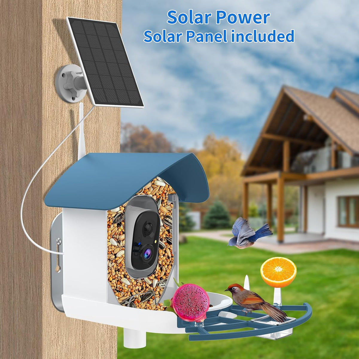 Bird Feeder with Camera Birds House Camera Solar Powered AI - Fazoxo Official Imagery - 5