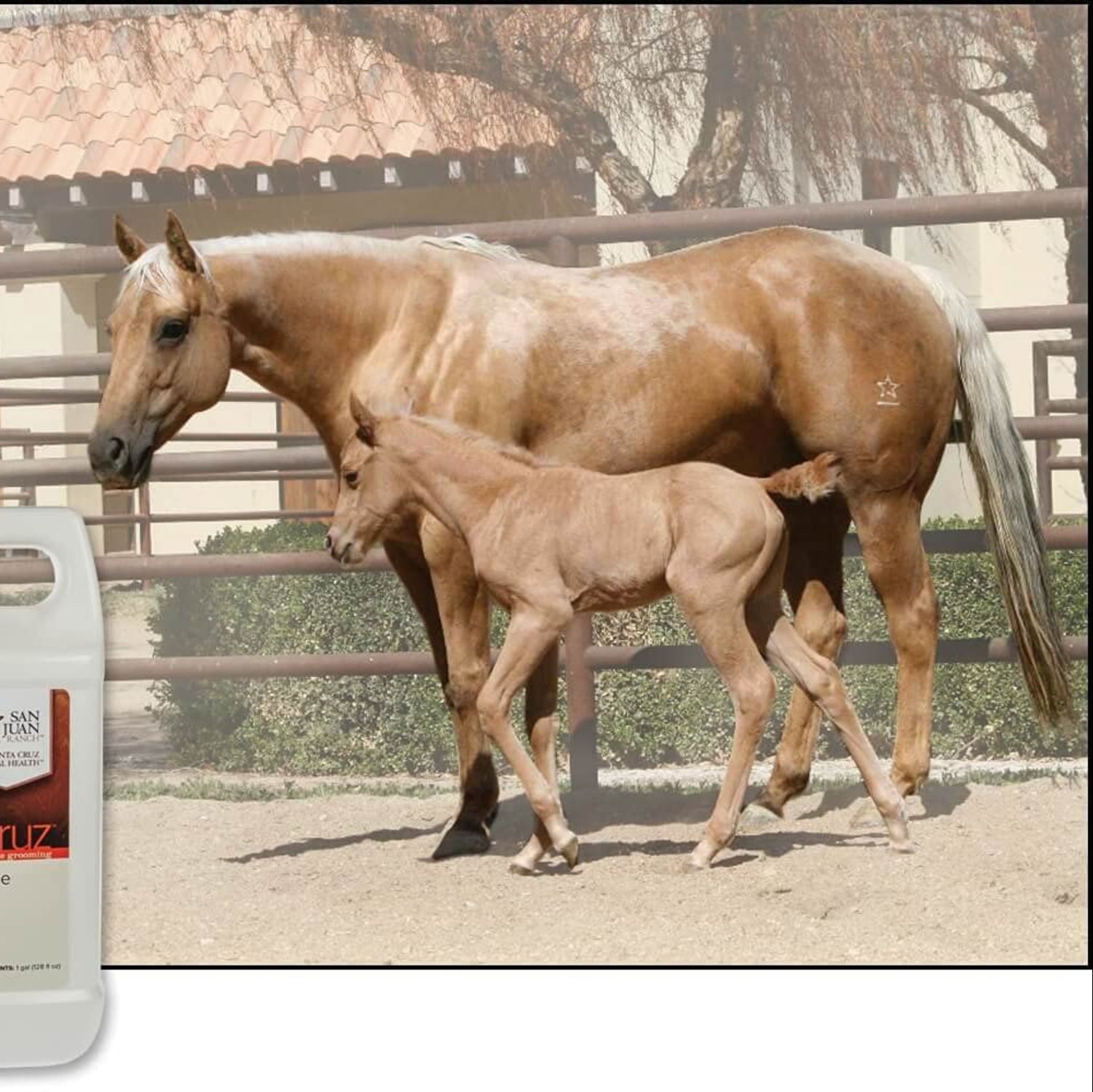 UltraCruz Equine Natural Fly and Tick Spray for Horses in a 1-gallon refill bottle, designed to protect horses from pests.