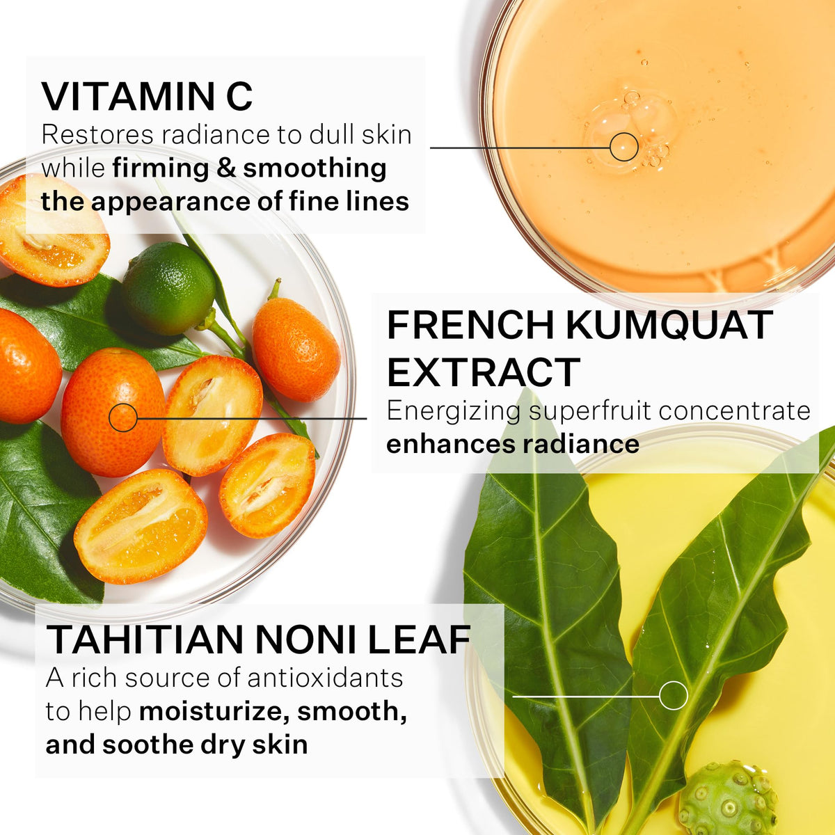 StriVectin Multi Action Super C Vitamin C Moisturizer - Premium Selection Official Imagery - 4