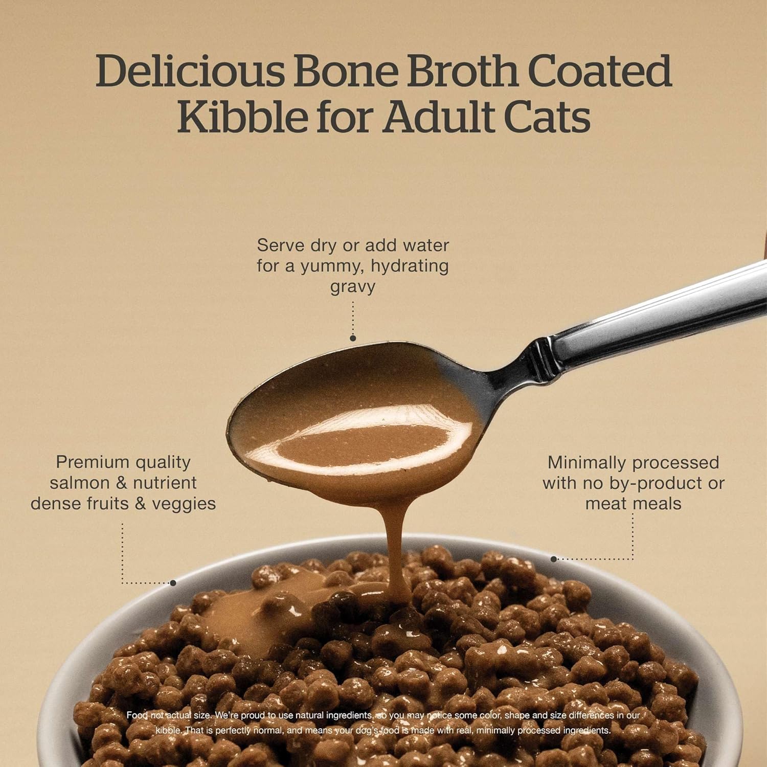 Now Fresh grain-free dry cat food with salmon kibble in a 3 lb bag, healthy and suitable for cats.