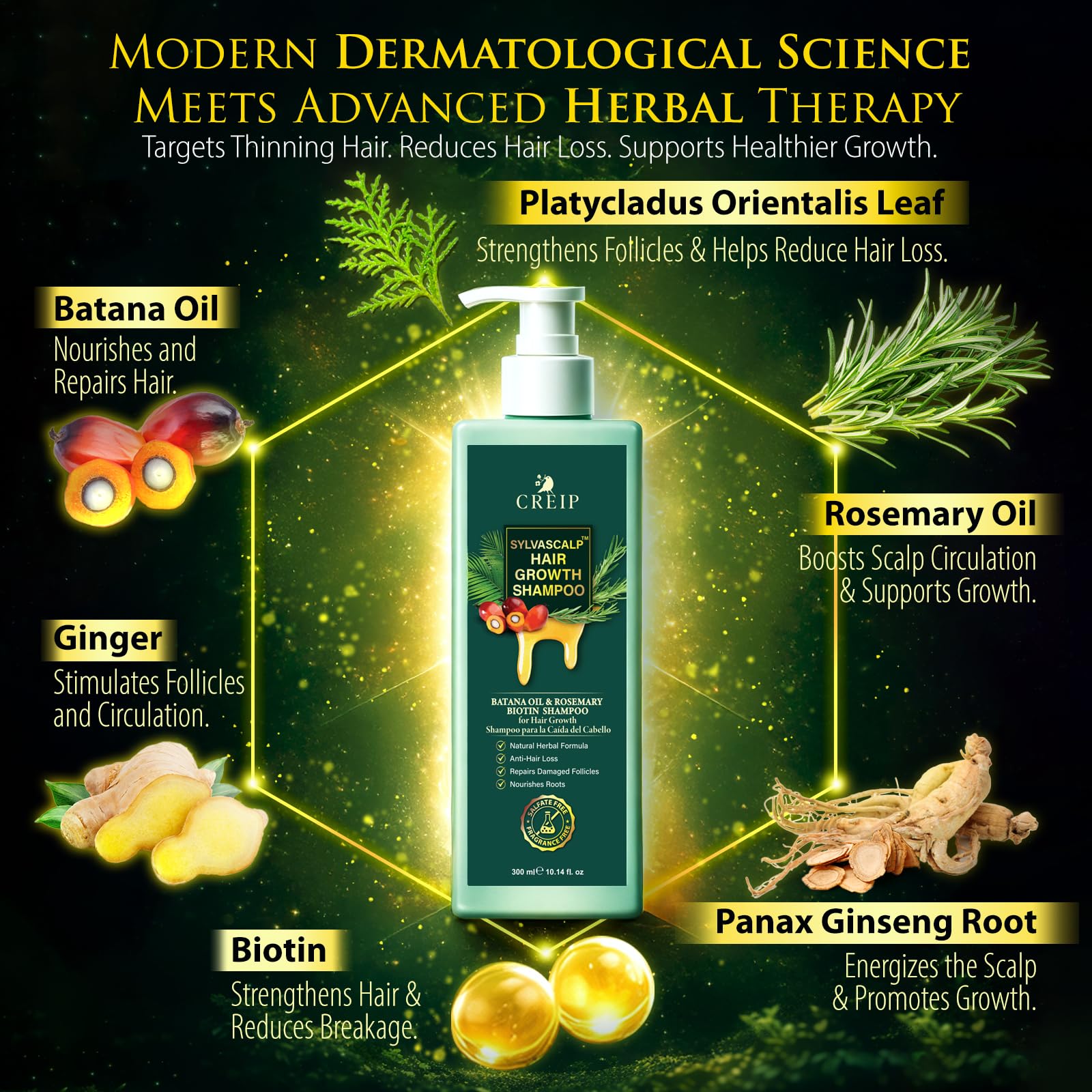 Creip Rosemary & Batana Oil Hair Growth Shampoo - Hair Loss Shampoo and Women - Creip Official Product View 4