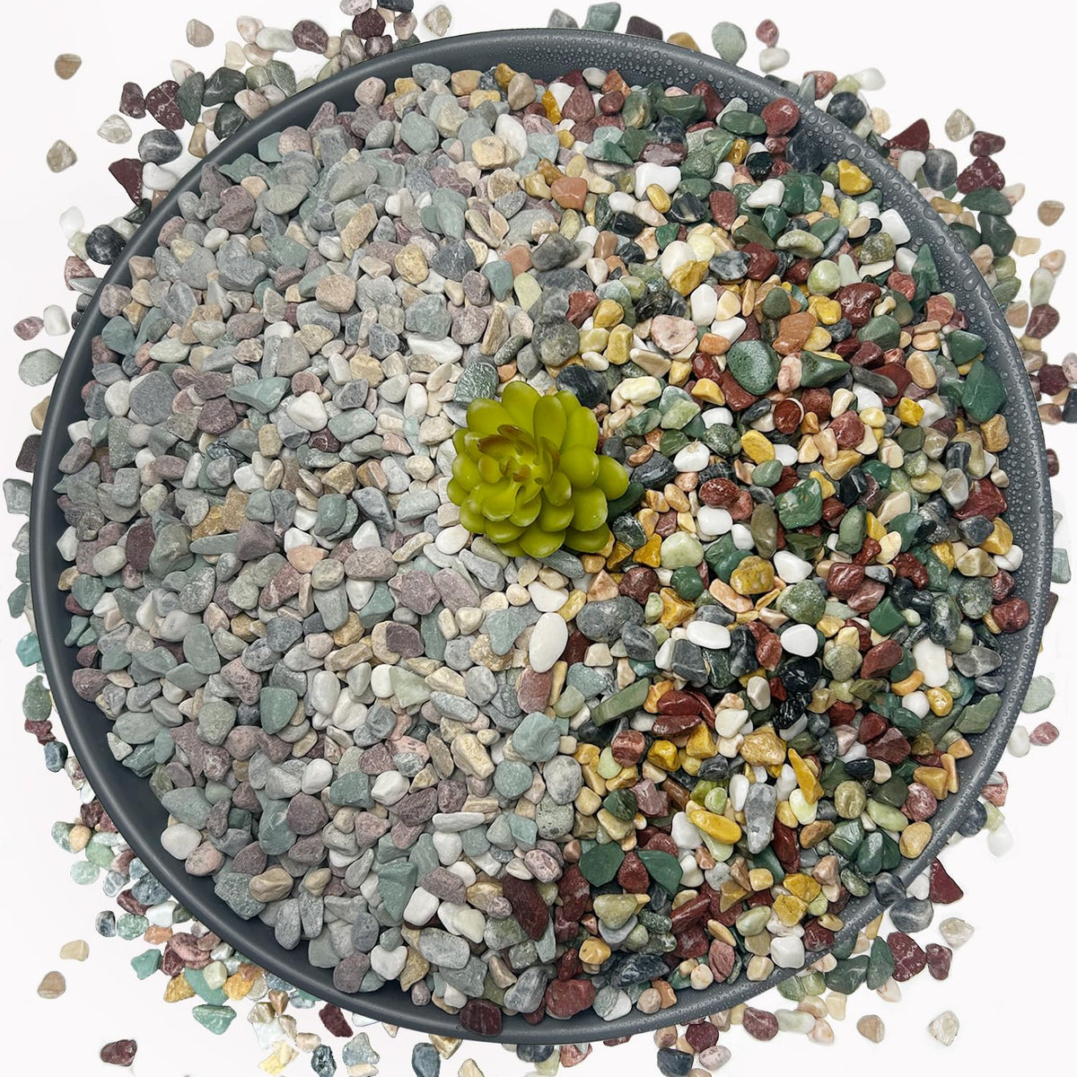 15 LB Mixed Gravel 0 5 Inch for Plants Fish Tanks - Garrdeen Official Imagery - 2