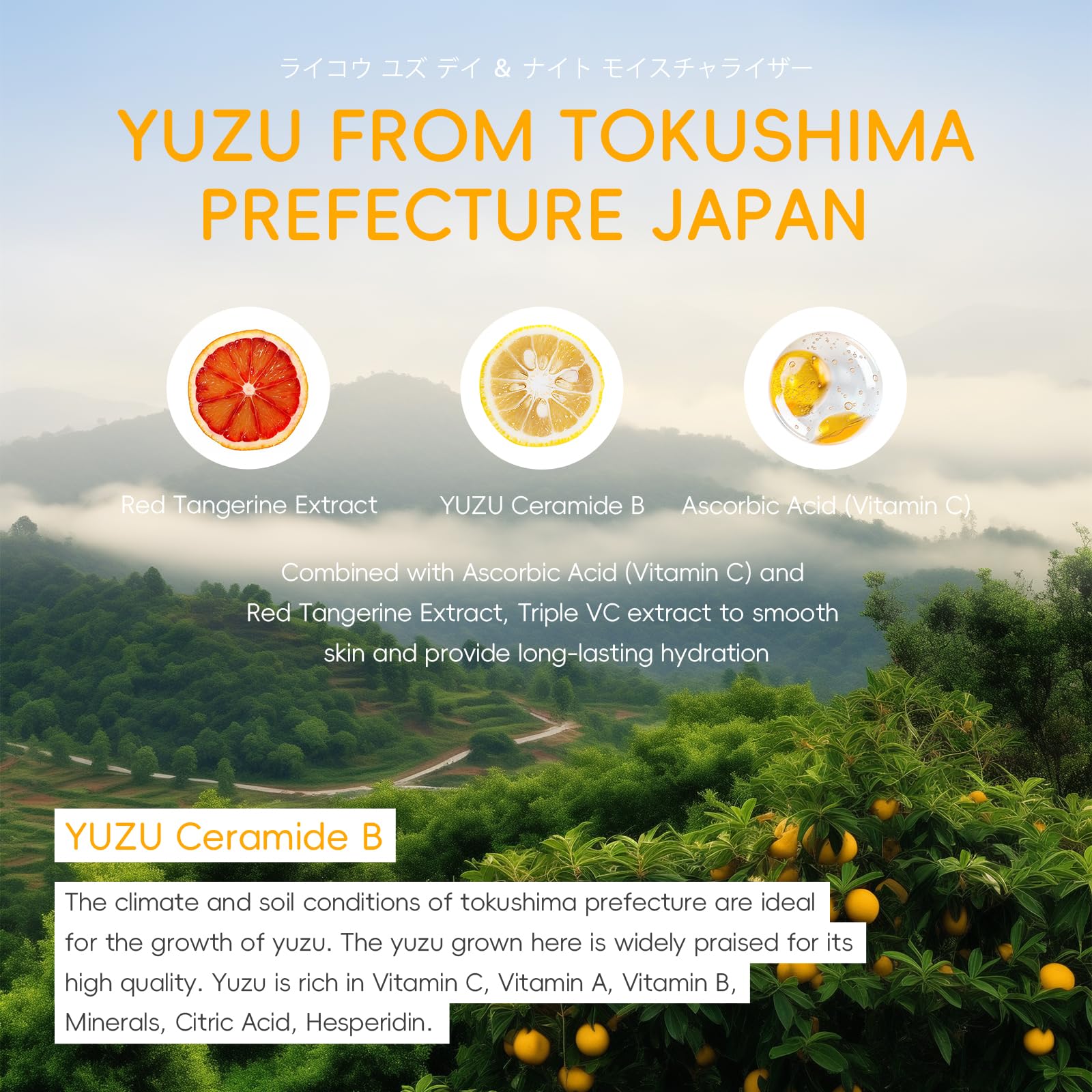 LAIKOU YUZU Skin Care, Skin Care Set, Beginner Kit, TSA-friendly - LAIKOU