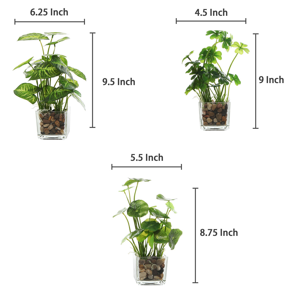 MyGift Set of 3 Small Assorted Artificial Plants in Clear - MyGift Official Imagery - 4