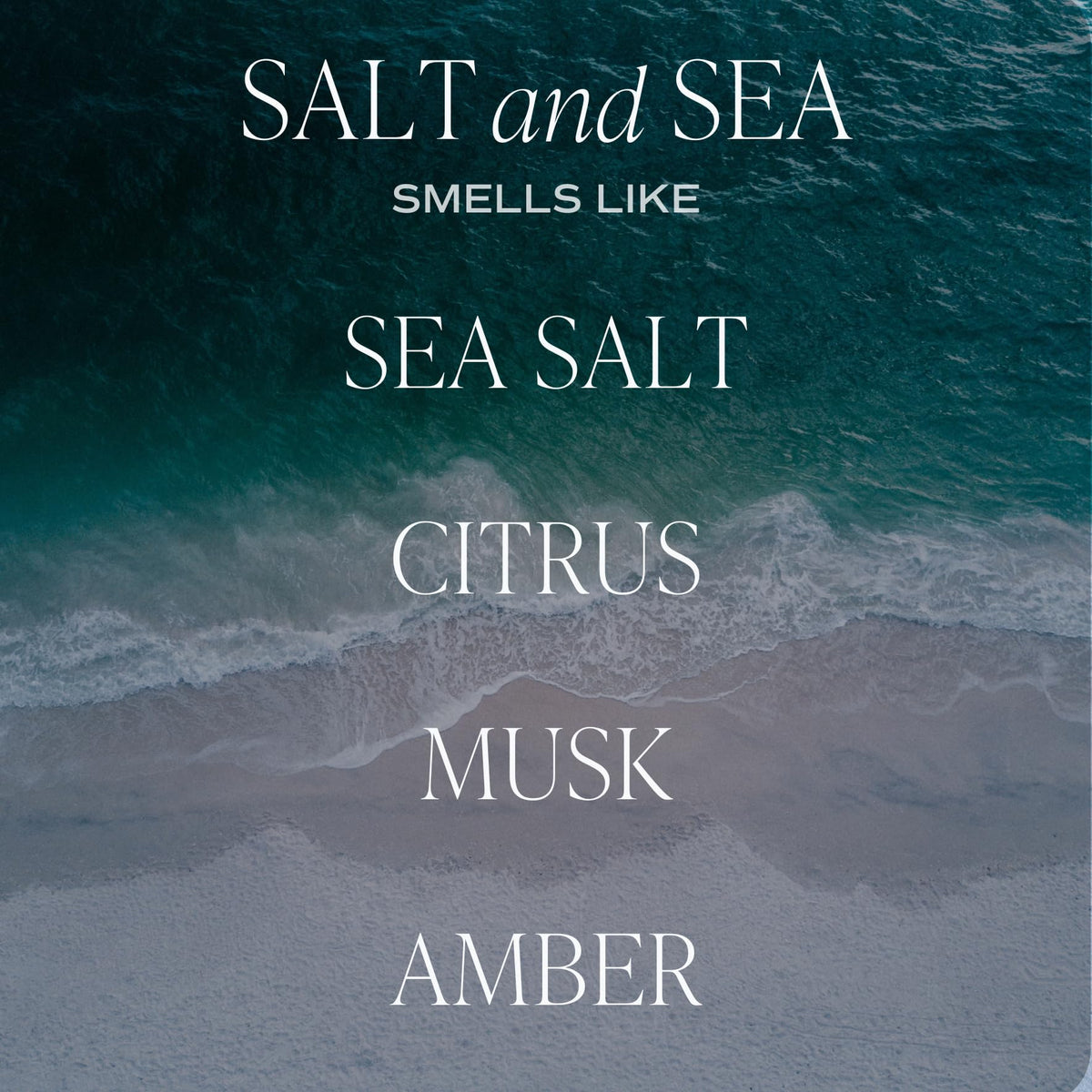 Sweet Water Decor Salt and Sea Reed Diffuser - Sweet Water Decor Official Imagery - 3