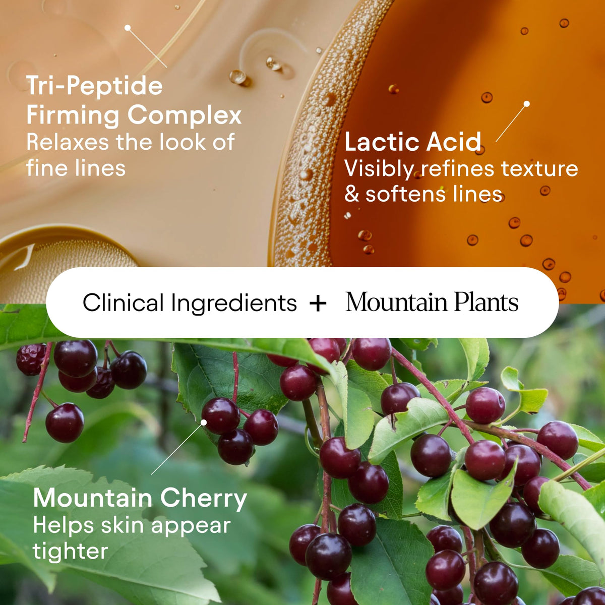 ALPYN Super Sculpt Peptide Firming Lifting Serum for Face - Alpyn Beauty Official Imagery - 7
