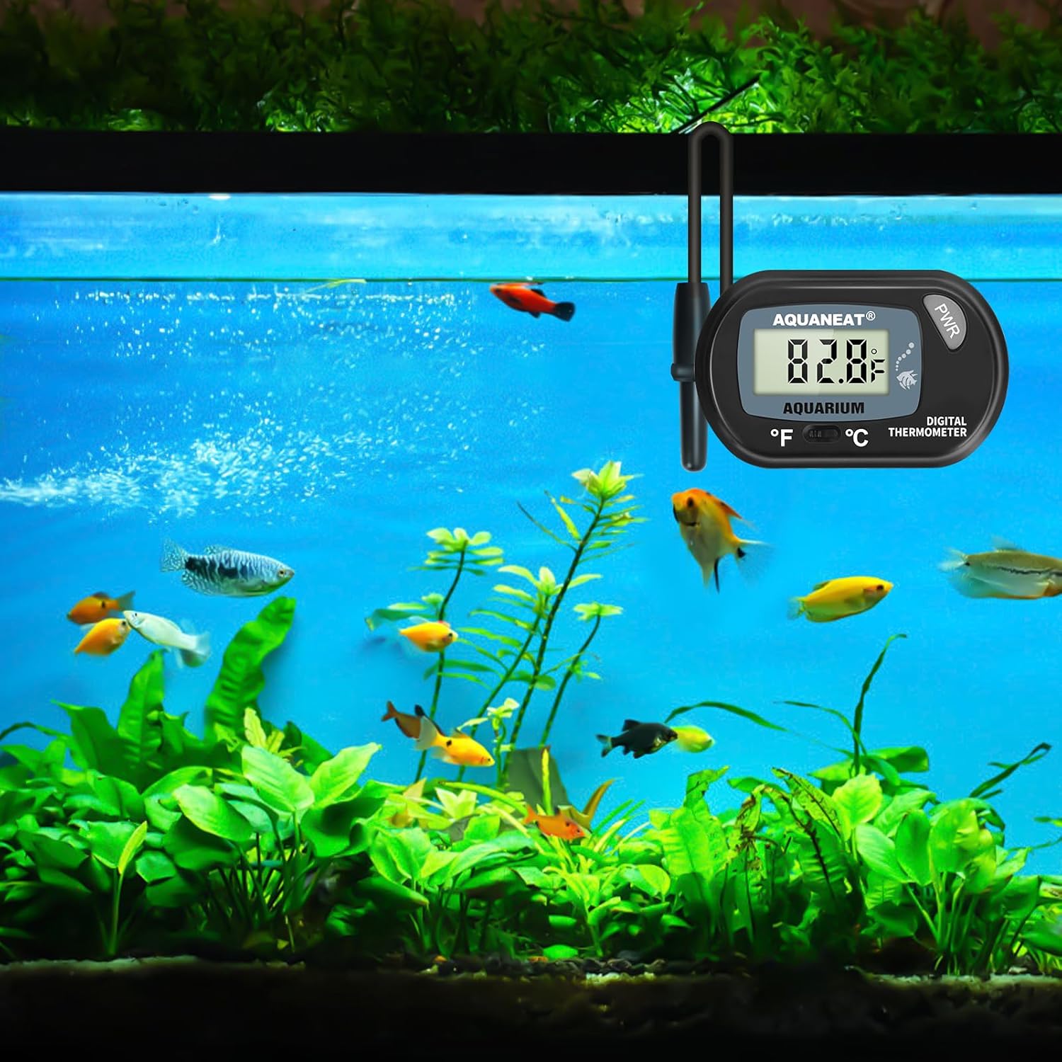 AQUANEAT 2-pack aquarium thermometers with digital display for fish tanks, showing temperature readings and waterproof design.