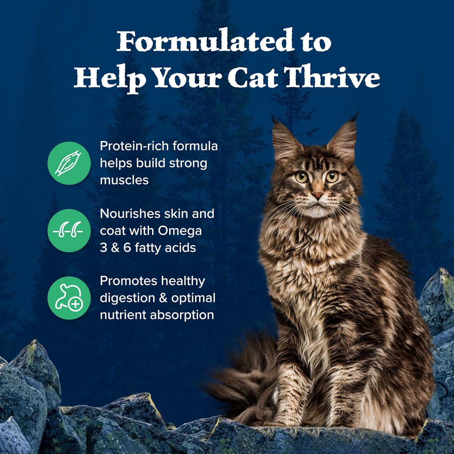 Blue Buffalo Wilderness high-protein grain-free dog food bag, 5-pound size, featuring natural ingredients and blue packaging.