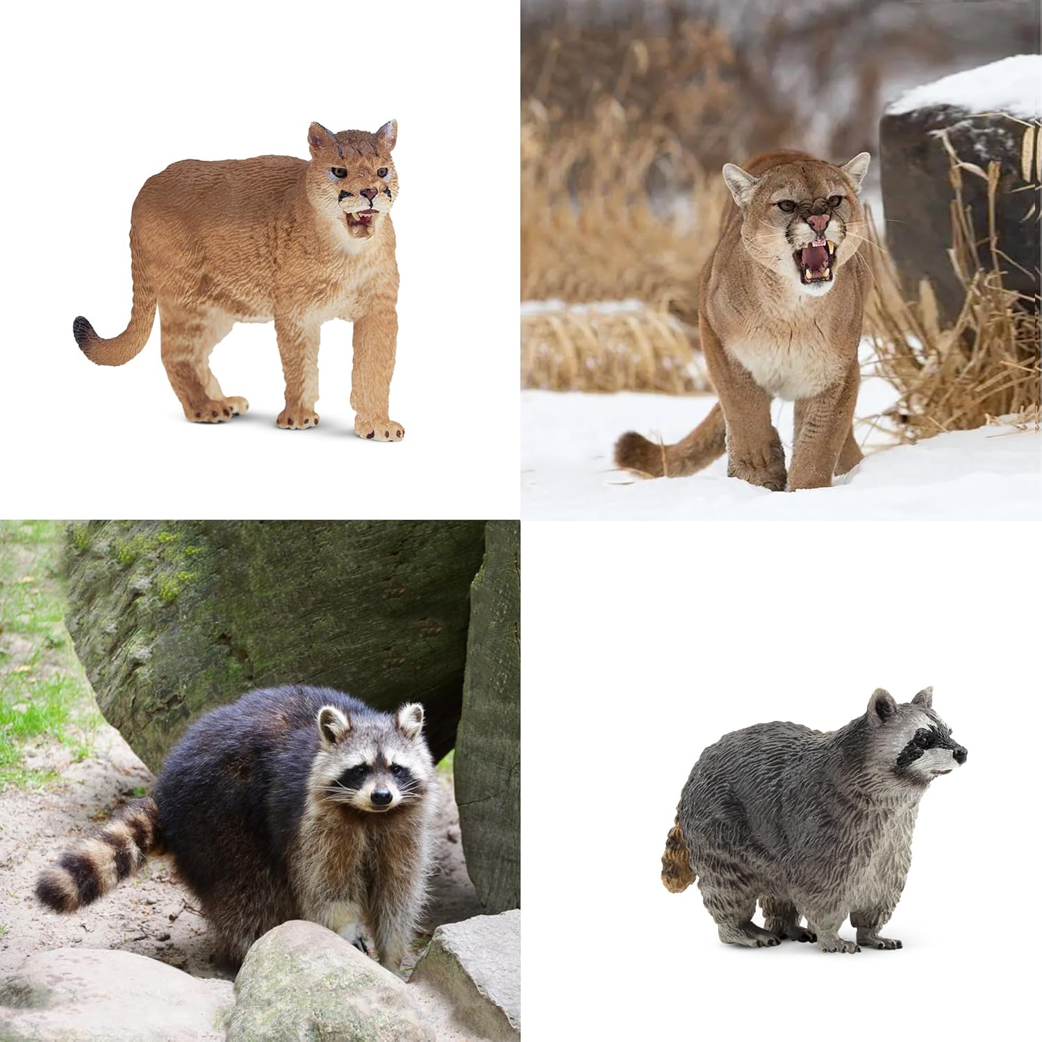 Set of 12 Toymany North American forest animal figurines including deer, fox, bear, and raccoon for realistic jungle play.