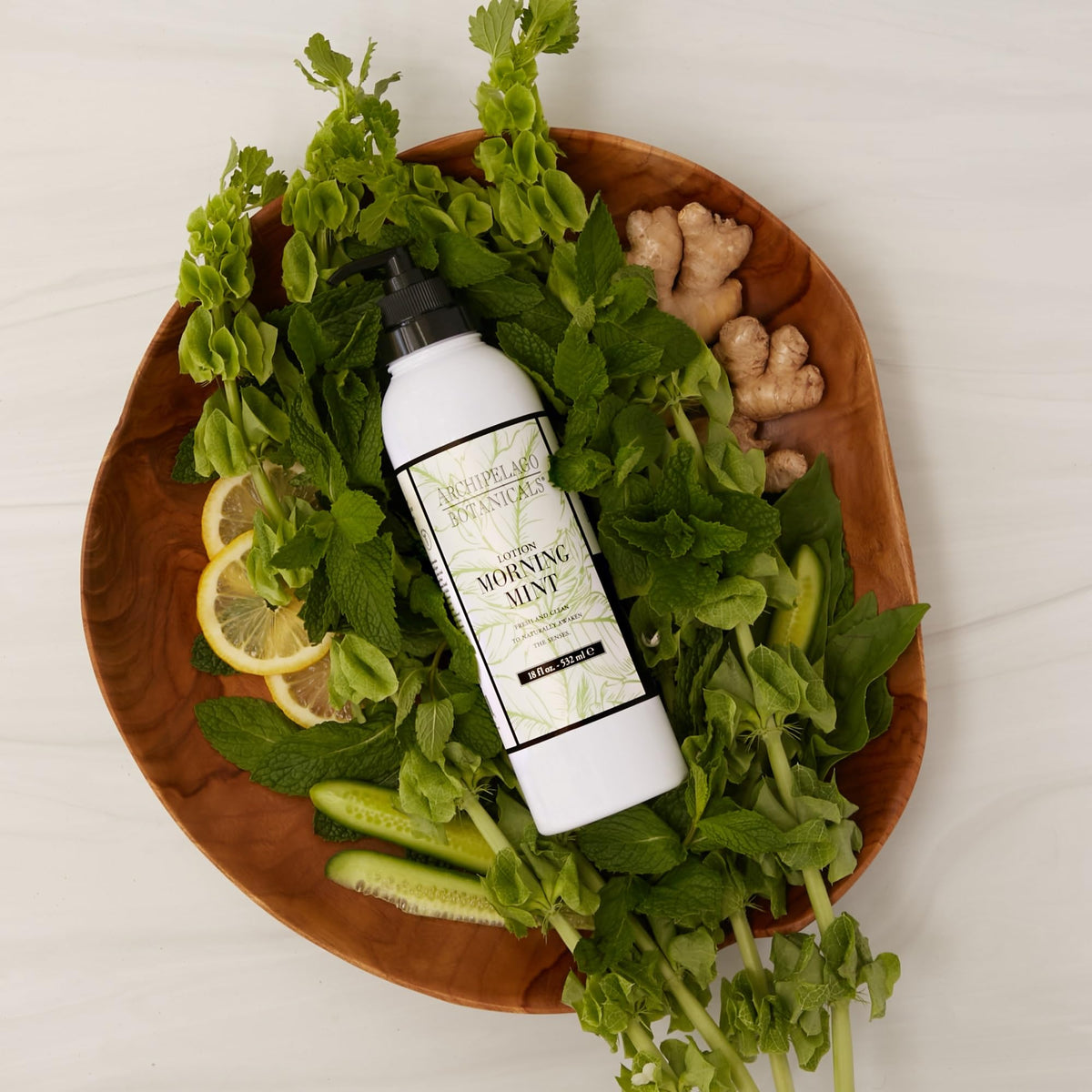 Archipelago Botanicals Morning Mint Lotion 18 oz - Archipelago Botanicals Official Imagery - 6