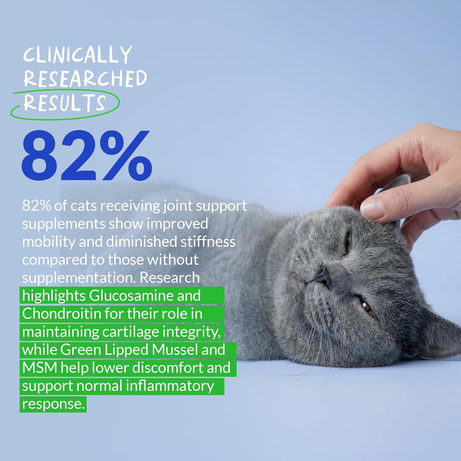Coco and Luna cat hip and joint supplement with glucosamine powder and green lipped mussels for joint health.