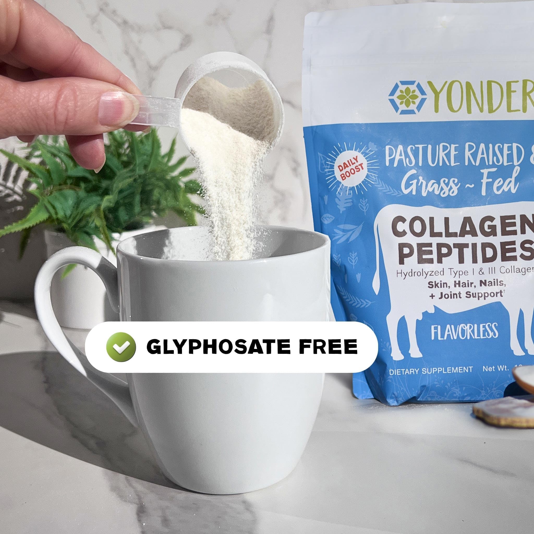 Yonder Grass Fed Pasture Raised Bovine Collagen Peptides - Yonder Official Imagery - 5