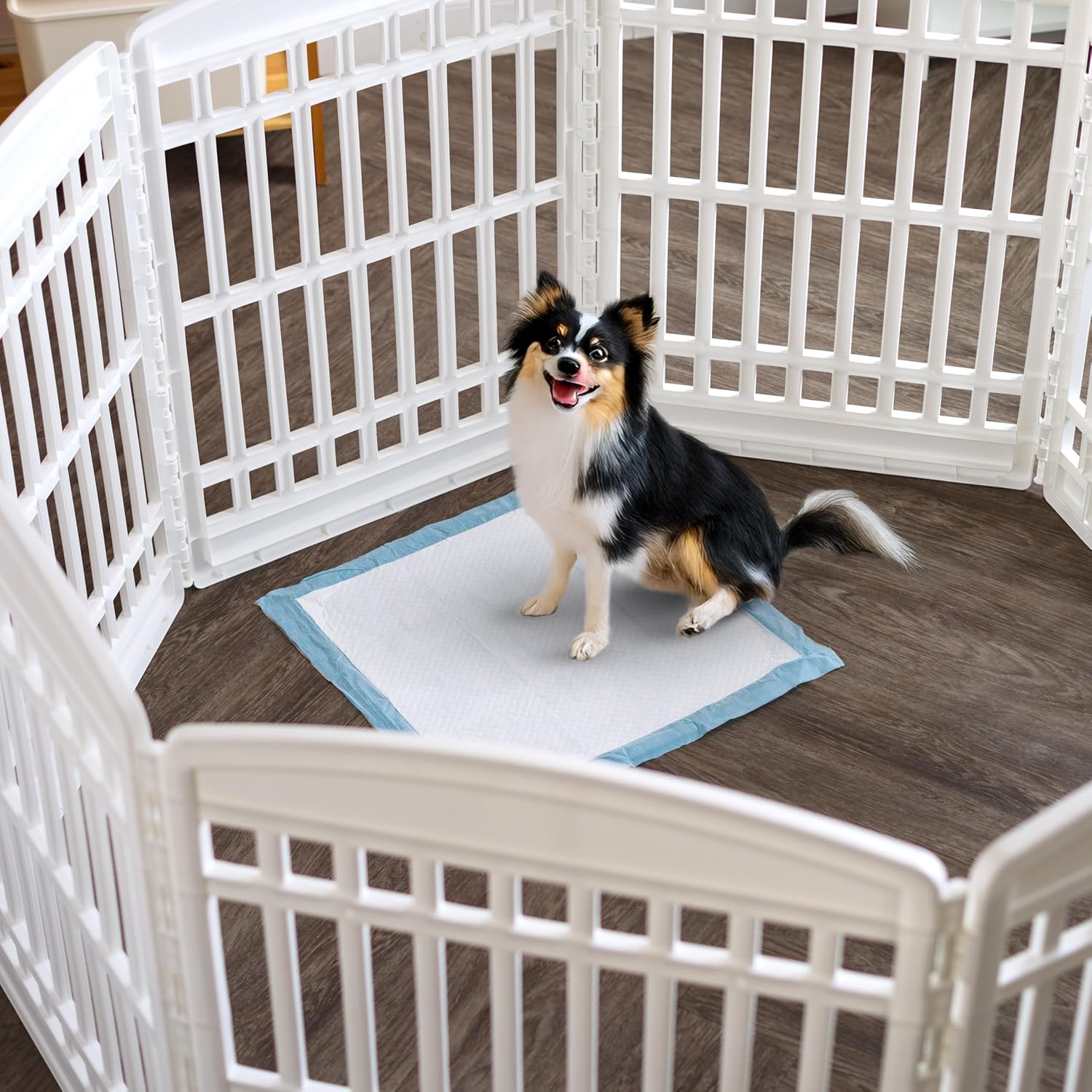 IRIS USA puppy training pads, 22x22 inches, set of 100 absorbent dog training pads on a flat surface