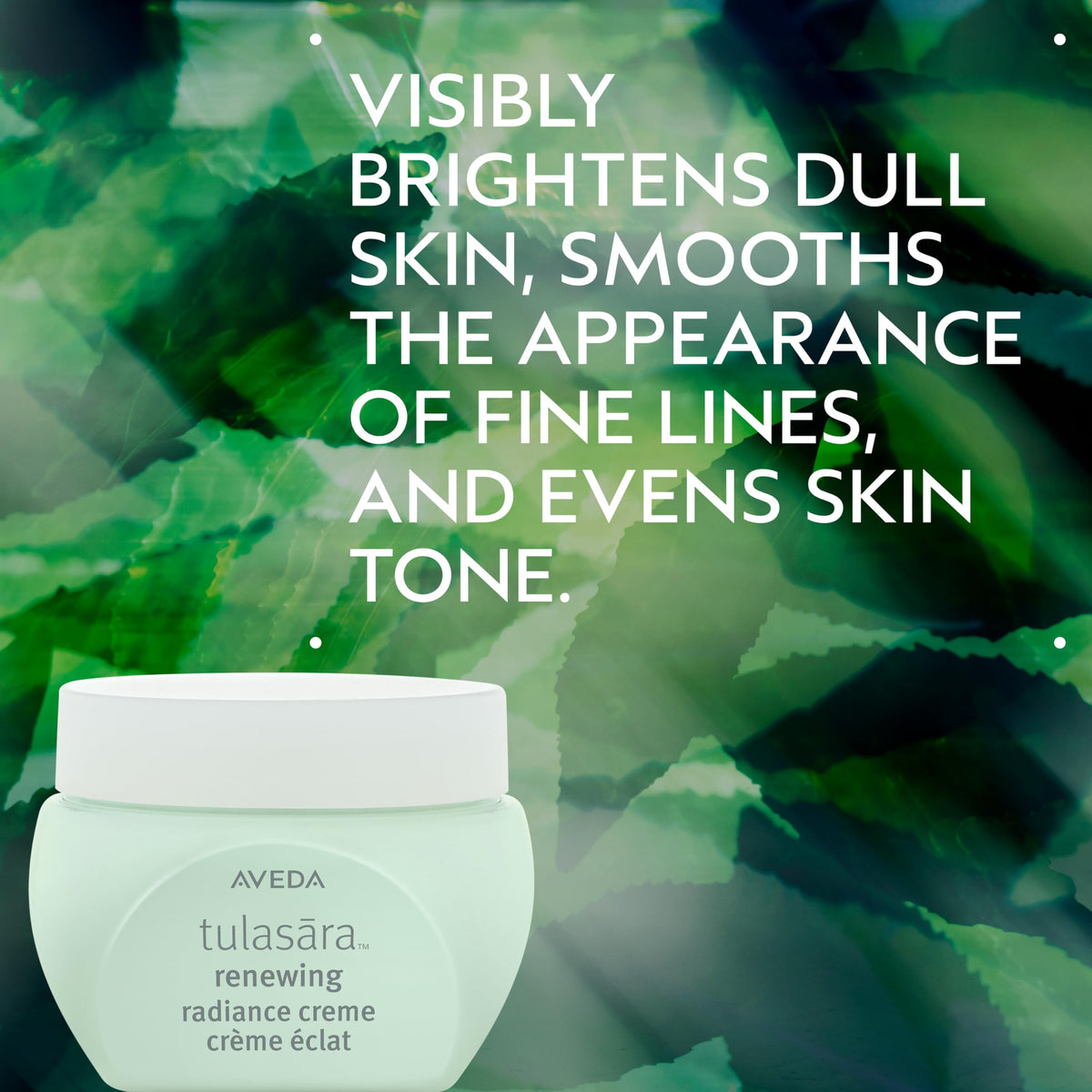 Aveda Tulasara Renewing Radiance Creme - Premium Selection Official Imagery - 3