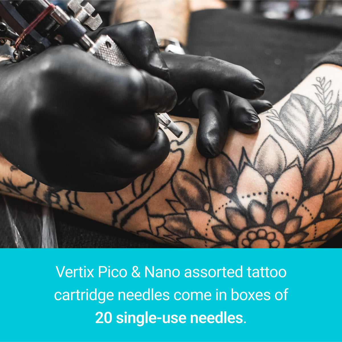 Vertix - Vertix Official Imagery - 4