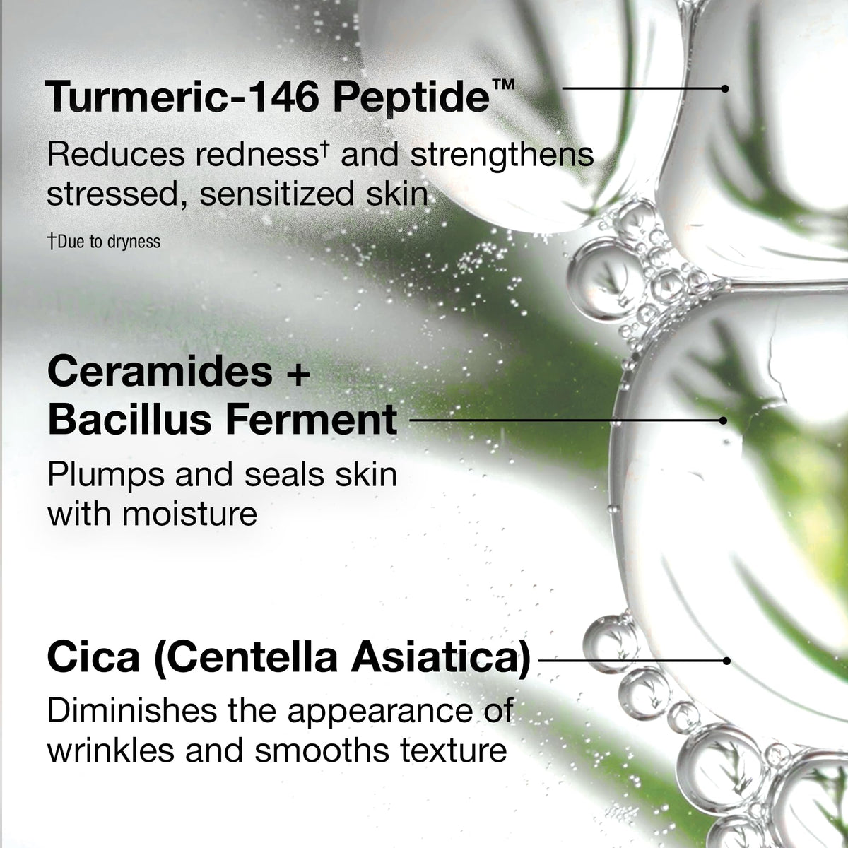 StriVectin Barrier Restore Soothing Milky Face Mist with - Premium Selection Official Imagery - 4