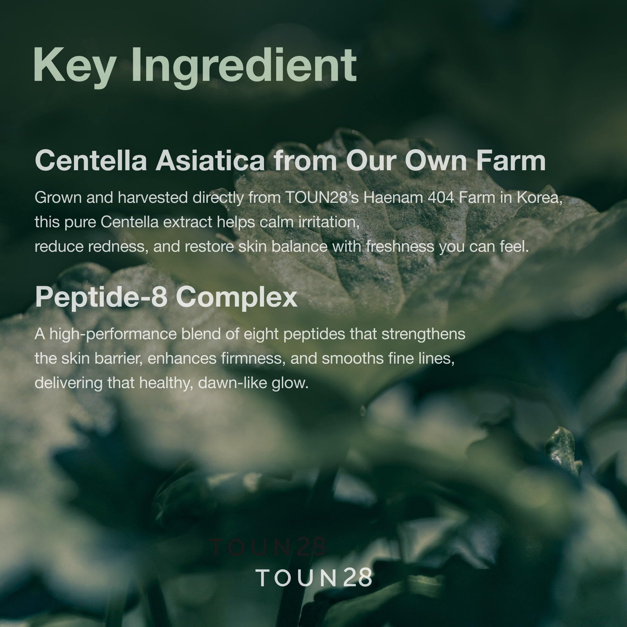 Centella Asiatica 3-Step Set, CICA &amp; Peptide Skincare - TOUN28