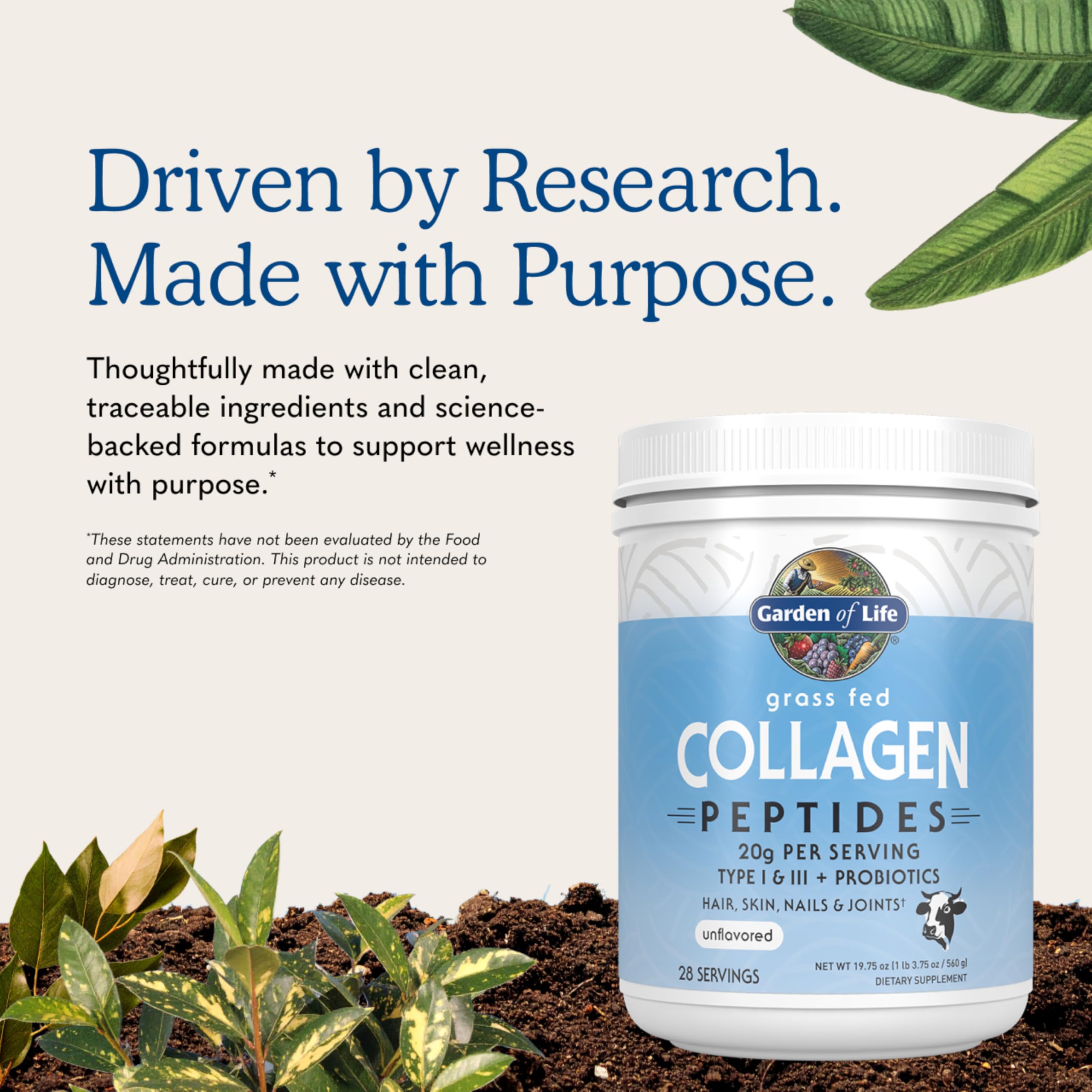 Garden of Life Grass Fed Collagen Powder Unflavored 28 - Garden of Life Official Imagery - 7