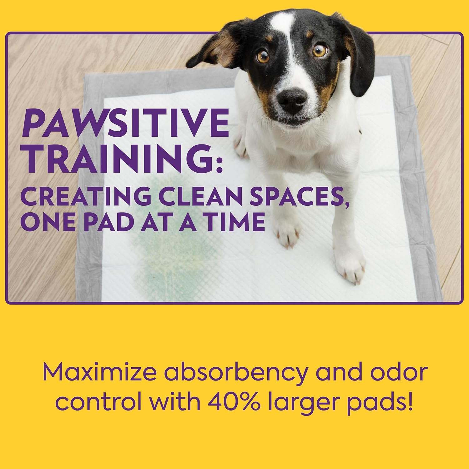 OUT! PetCare XL training pads for dogs, leak-proof disposable pee pads with absorbent surface and waterproof backing.