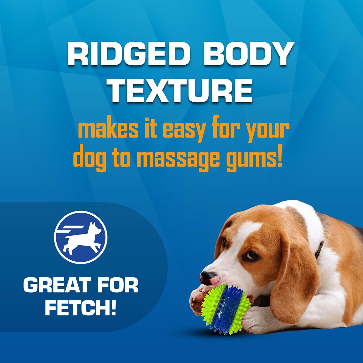 Nerf Dog toy gift set with outdoor fetch toys including checker crunch ball, LED squeak ball, and tire squeak football