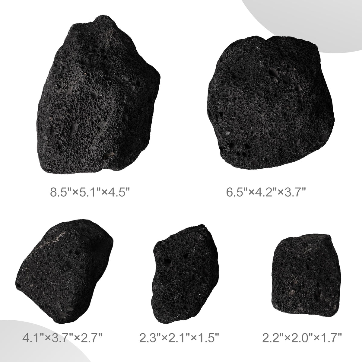 2 2 8 1 Inches Natural Black Lava Rock 5 PCS Mixed Sizes - FISCAPE Official Imagery - 4