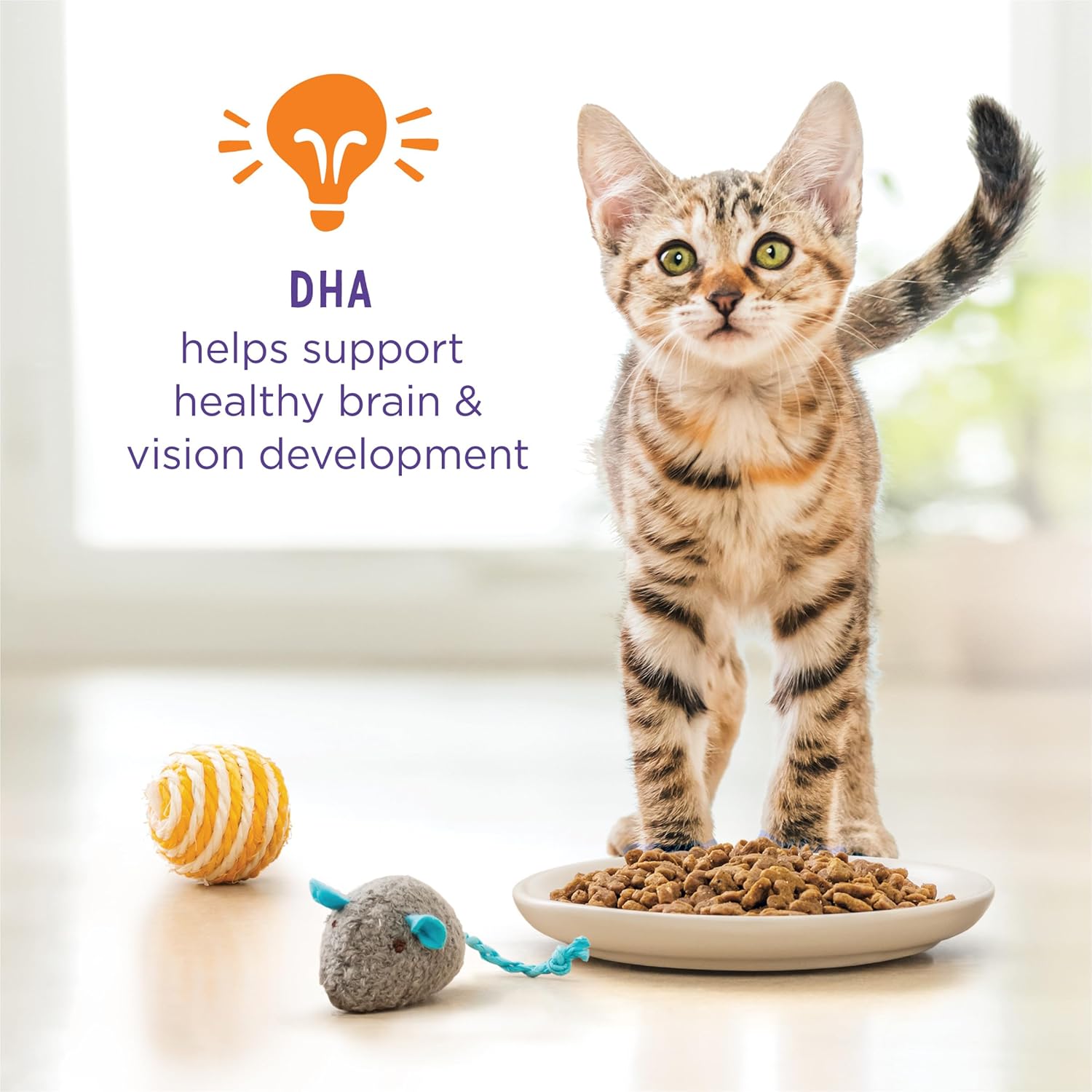 Purina Cat Chow Kitten Food with real chicken, healthy development formula, in a colorful bag for young kittens.
