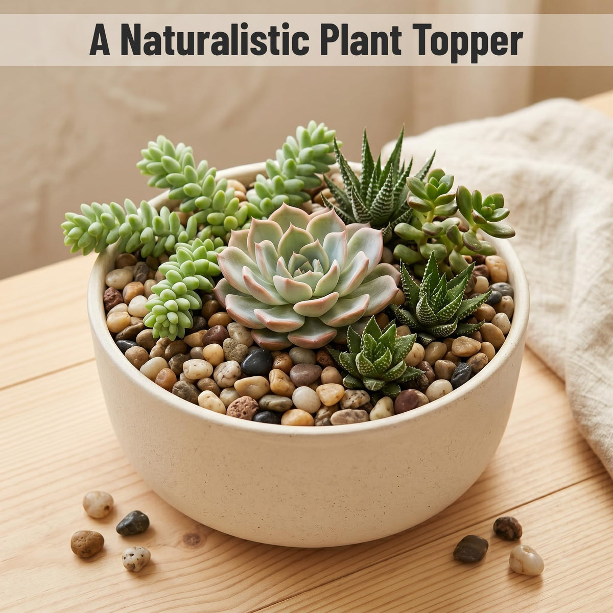 Midwest Hearth Decorative Mixed Pebbles for Plants - Midwest Hearth Official Imagery - 3