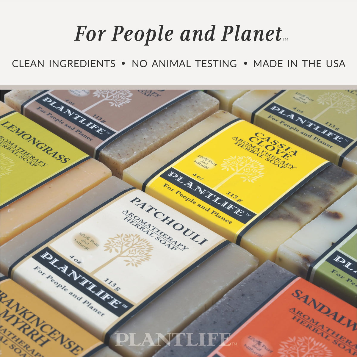 Plantlife Lemongrass Natural Bar Soap 6 Pack Handcrafted - Plantlife Official Imagery - 6