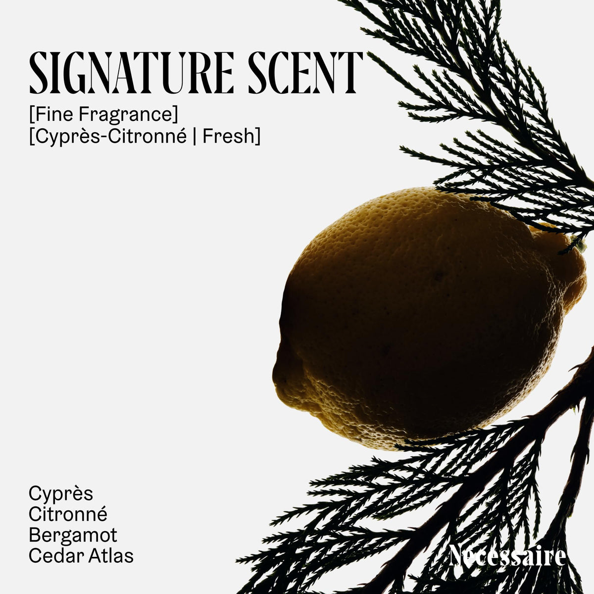 The Body Wash Mini Cypr s Citronn Multi Oil Niacinamide - Nécessaire Official Imagery - 4