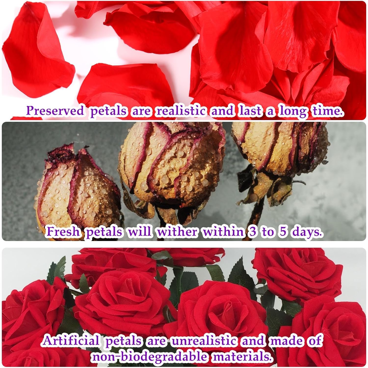 Dried real rose petals from Tavkite, natural preserved dry flower petals ideal for weddings and party decor.