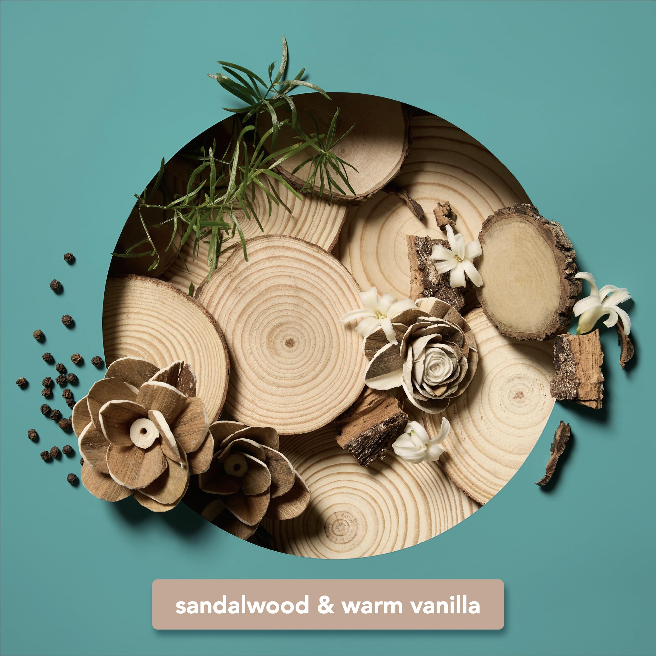 Onyx Professional Foaming Body Scrub With Brush, Sandalwood Vanilla, - Sugar - Onyx Professional Official Product View 10