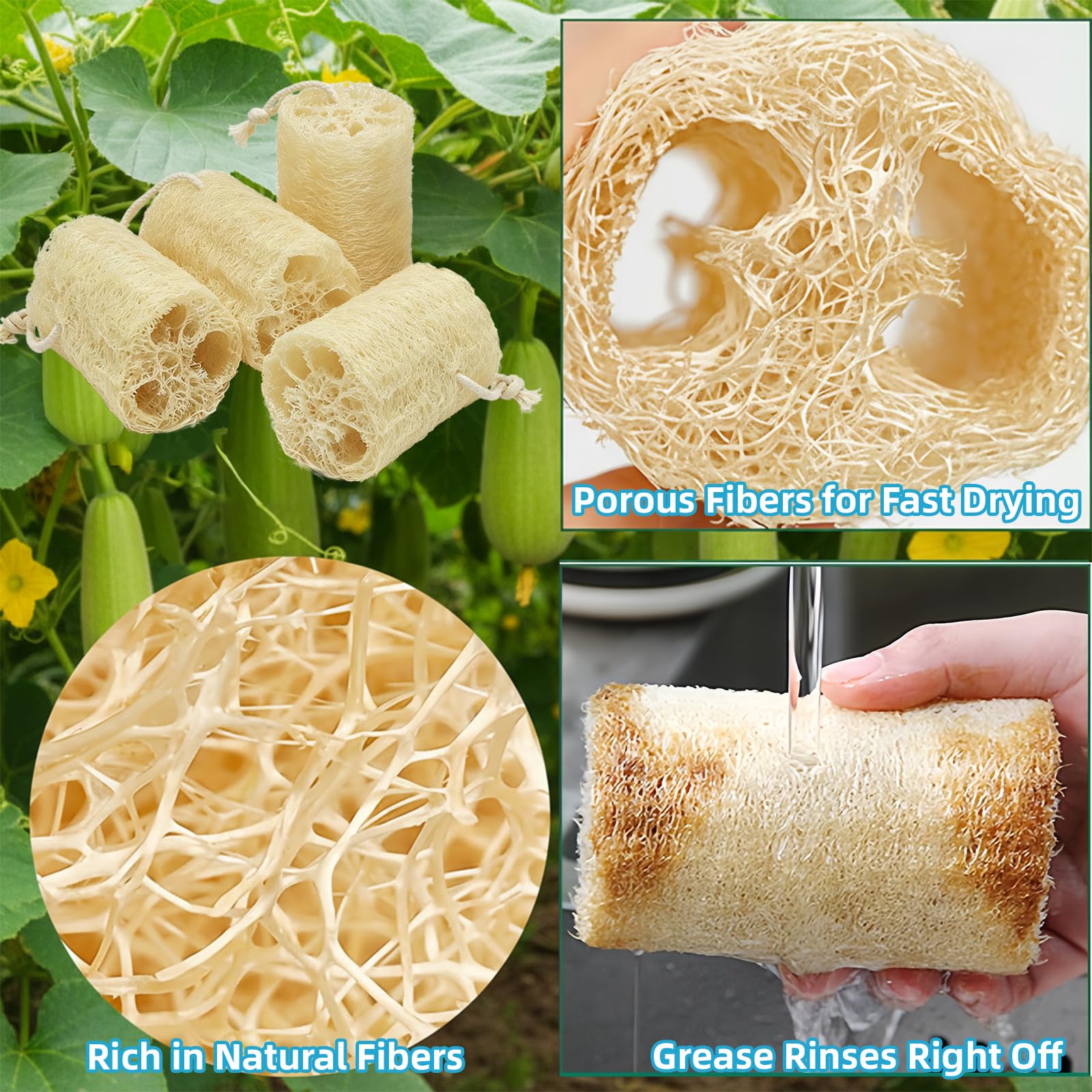 ZOXUYUMI Natural Loofah Exfoliating Body Sponge Scrubber, Plant - Based Organic - ZOXUYUMI Official Product View 4