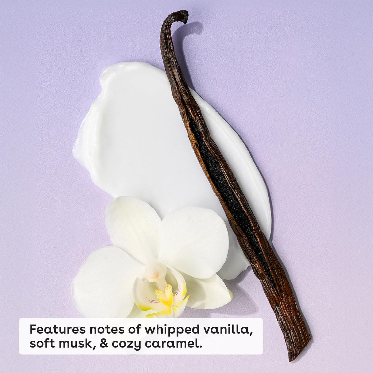 eos Cashmere Skin Collection Post Shave Smooth Body Cream - eos Official Product Imagery - 3