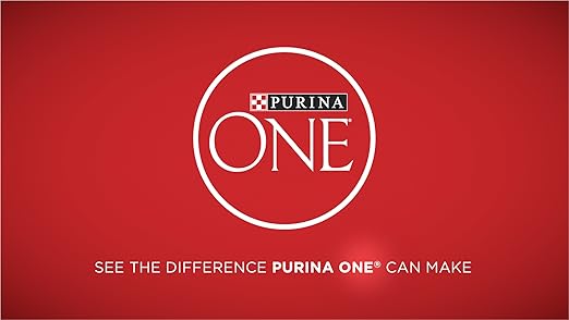 12 cans of Purina ONE True Instinct Classic Grain-Free Wet Dog Food, 13 oz. ground formula in metal cans.