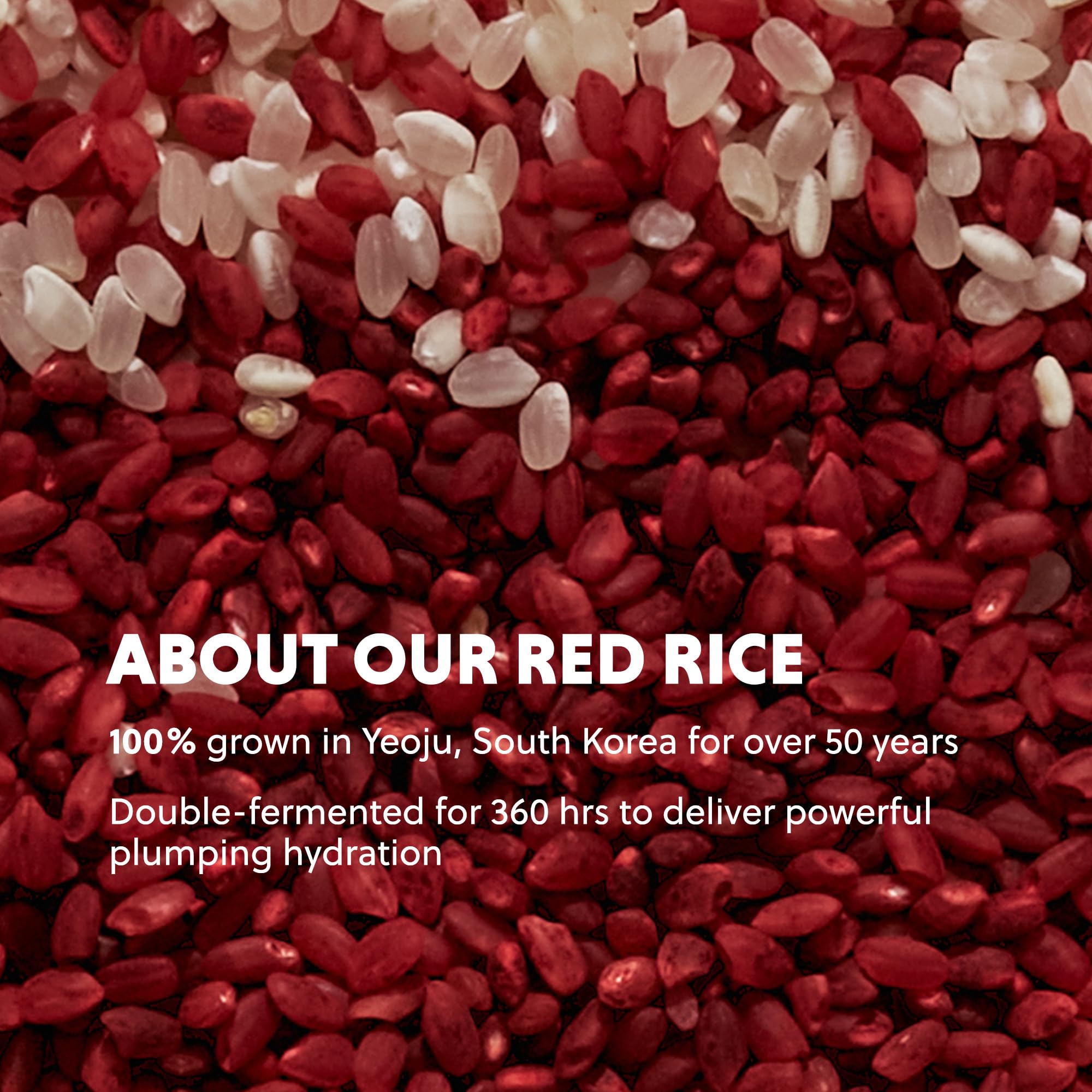 HANYUL Red Rice Hydrating Serum with Vegan Ceramide & Squalane - Korean Face - Hanyul Official Product View 8