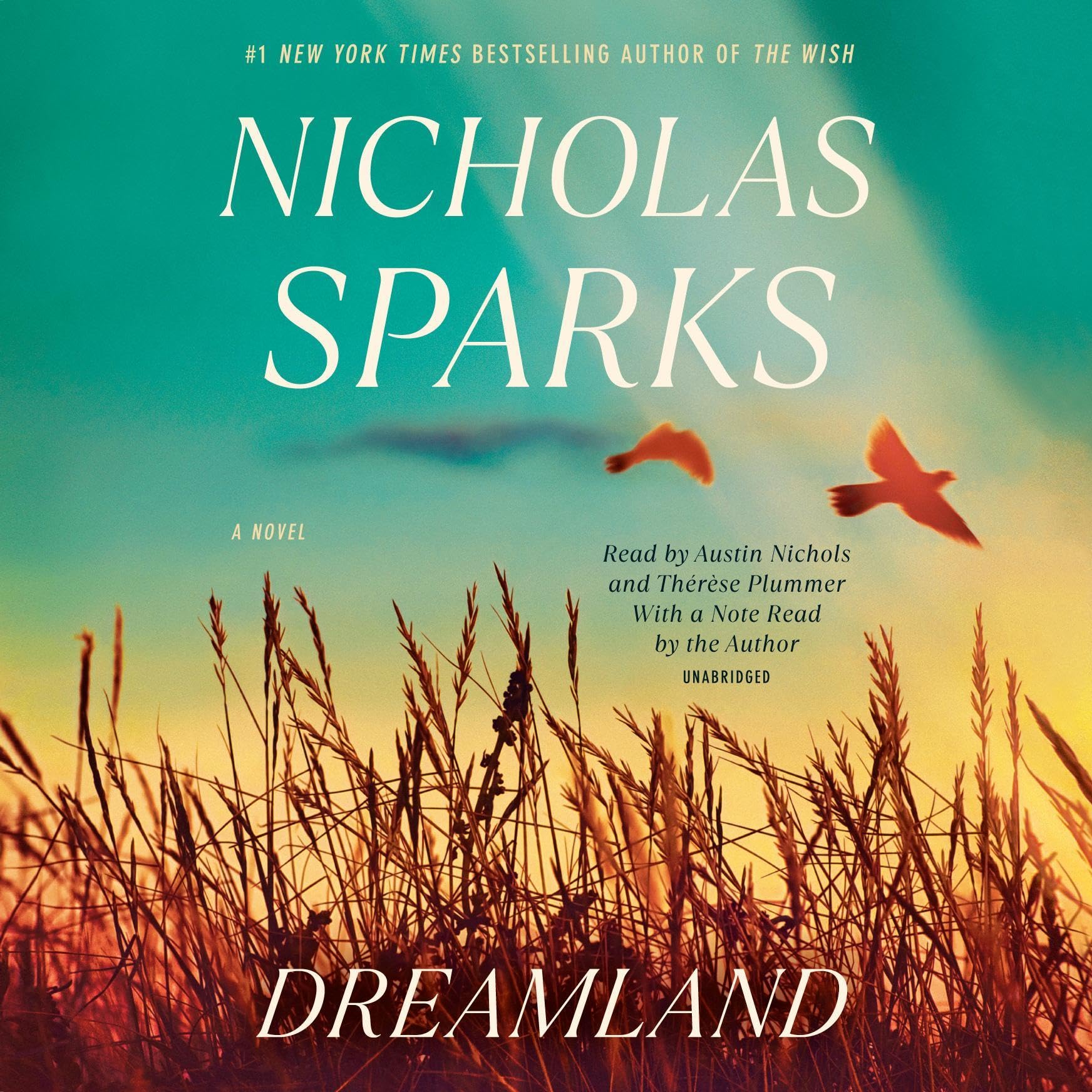 Dreamland: A Novel - Product Imagery