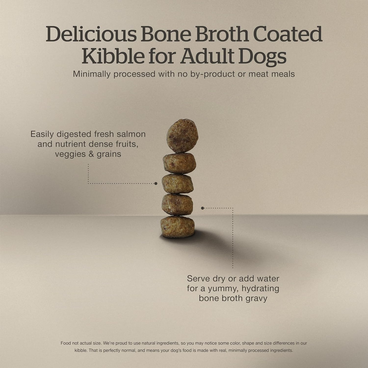Now Fresh Good Gravy bone broth coated dry dog food with salmon in a 3.5 lb bag, showing kibble coated with gravy and salmon pieces.