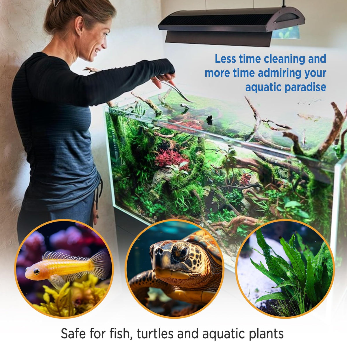 Fish Tank Rocks for Enhancing Water Clarity with Your - Magic Tank Rock Official Imagery - 5