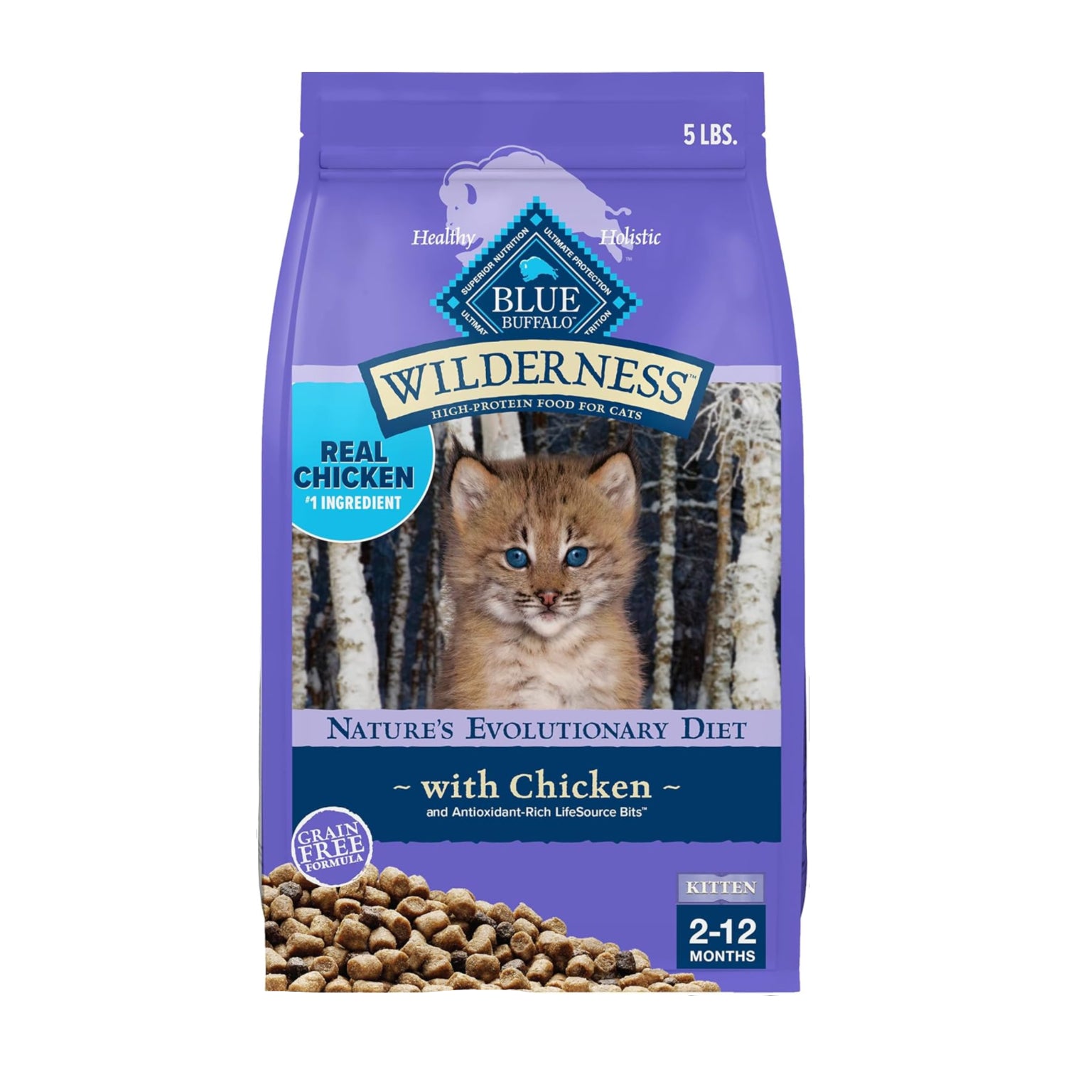 Blue Buffalo Wilderness natural kitten dry cat food bag with DHA and ARA for brain and eye development, 5-pound size.