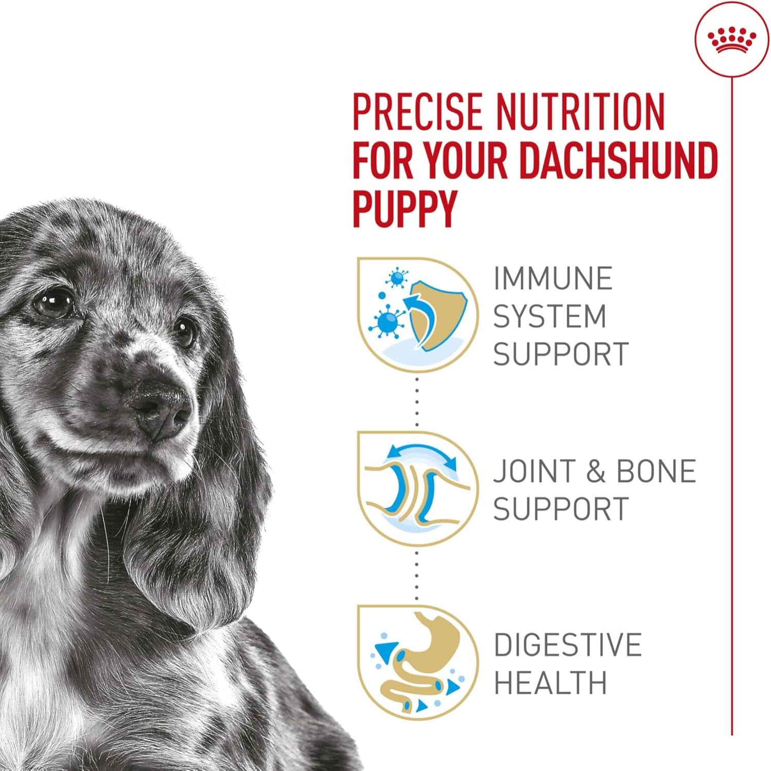 Elefair Royal Canin Dachshund Puppy Dry Dog Food in 2.5 lb bag, showing kibble and packaging for small breed puppy nutrition.